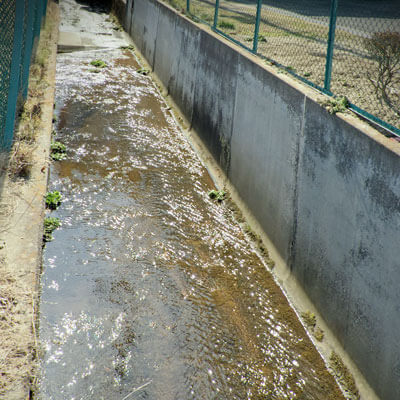 楽しい写真ライフ