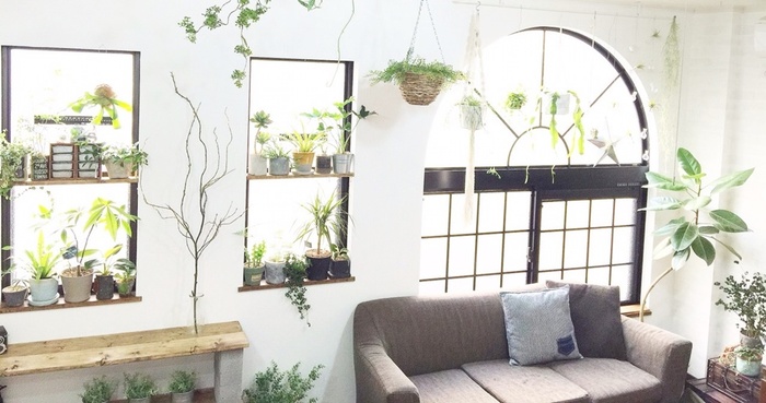 これ、本物じゃないの!? 思わず驚く”フェイクグリーン”のお店『いなざうるす屋』  お部屋にグリーンを【キナリノ】