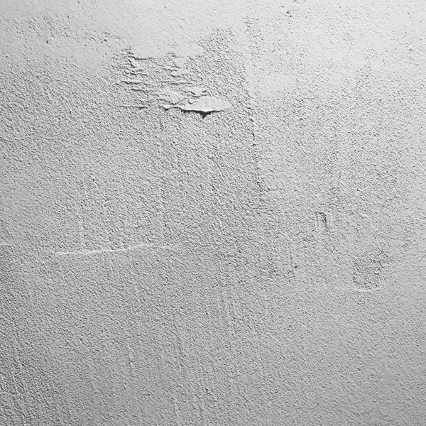 今日はお引渡し！