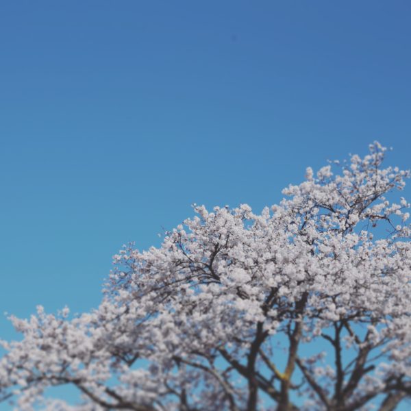 創立記念イベント