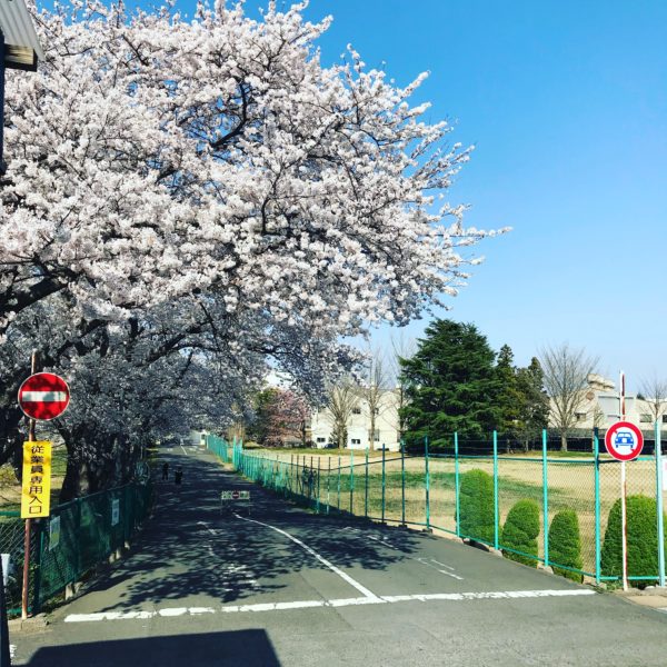 スタッフが増えました