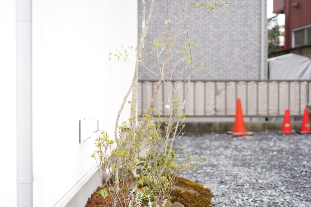 なぜ住宅には植栽が必要なのか