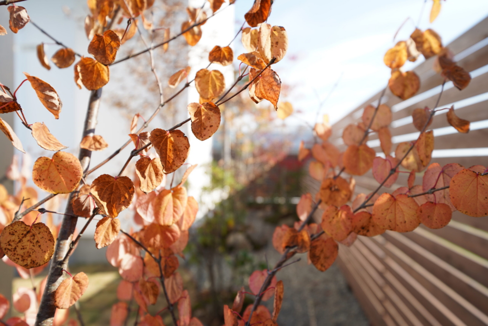 【保存版】住宅会社の選び方（1）