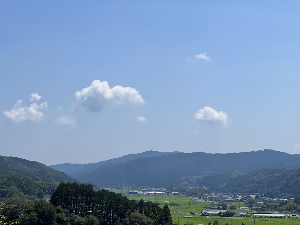 自然素材の家のどこが魅力的なのか考えてみる