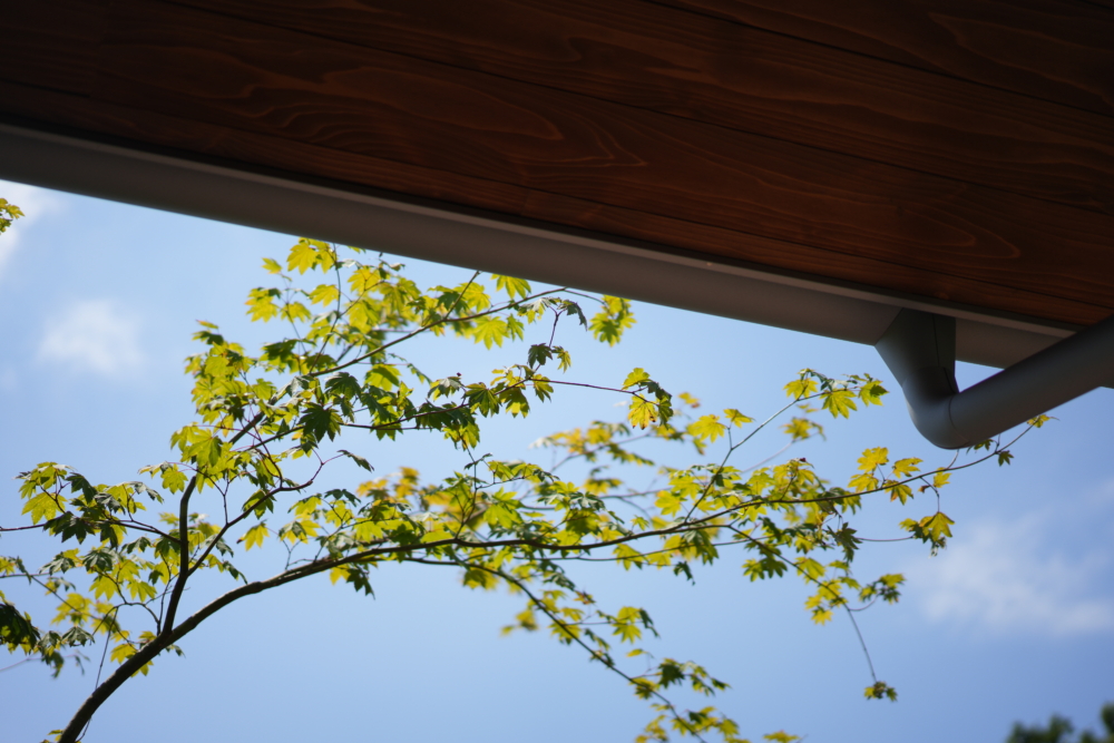 あの日から15年